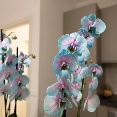 Apartment A Casa Tua Vatican Rome